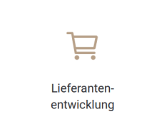 Lieferantenentwicklung
